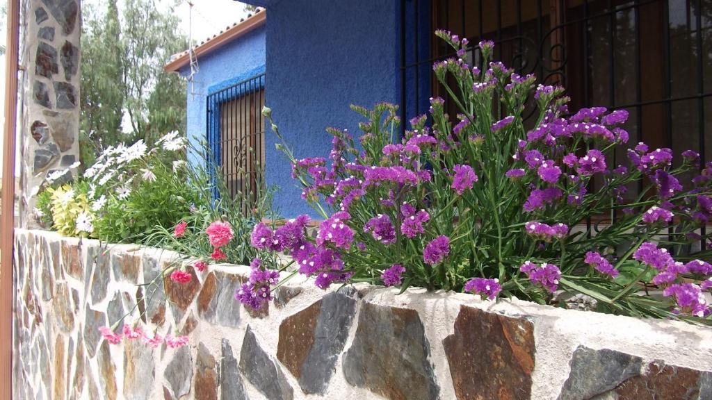 Casa Rural Mi Campo Fenazar Zimmer foto